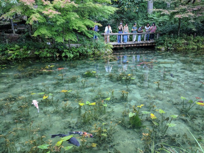 Hồ Nhật Bản đẹp như tranh sơn dầu của Monet: 20 năm trước vô danh, không ai biết đến, giờ thành địa điểm hút khách bậc nhất xứ hoa anh đào - Ảnh 3.