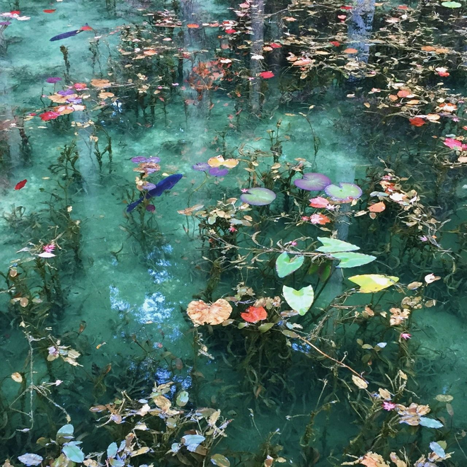 Trầm trồ trước hồ đẹp như tranh sơn dầu ở Nhật Bản - ảnh 6