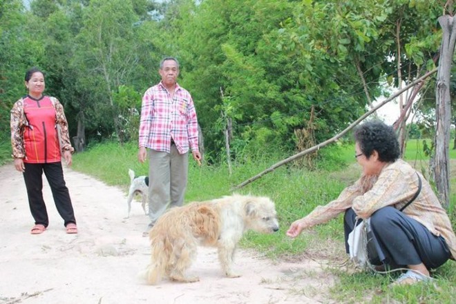 Chú chó đi lạc kiên trì đứng đợi chủ suốt 4 năm trời và hành động gây bất ngờ khi gặp lại người chủ cũ - Ảnh 3.