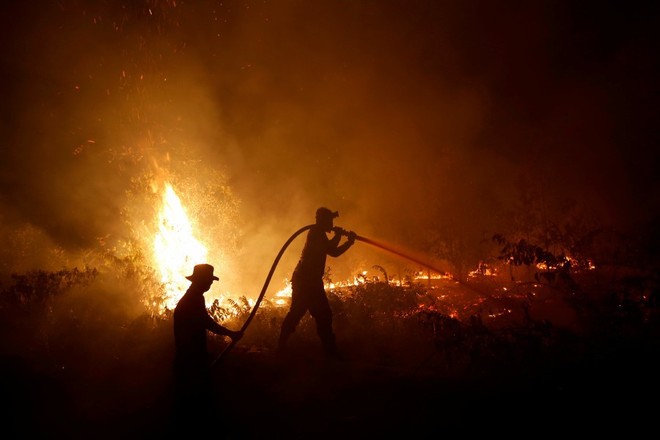 Indonesia bắt giữ gần 200 người liên quan cháy rừng - Ảnh 1.