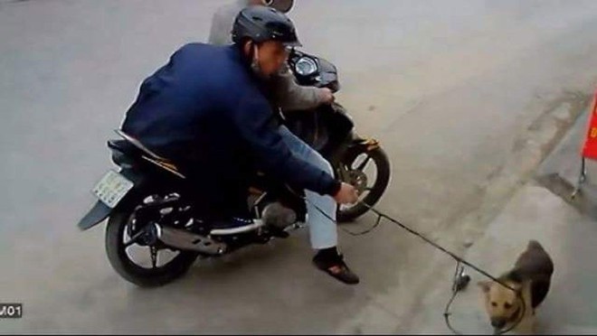 H&agrave; Nội: Truy h&ocirc; bắt trộm ch&oacute;, hai vợ chồng bị ch&eacute;m phải nhập viện cấp cứu - Ảnh 1.