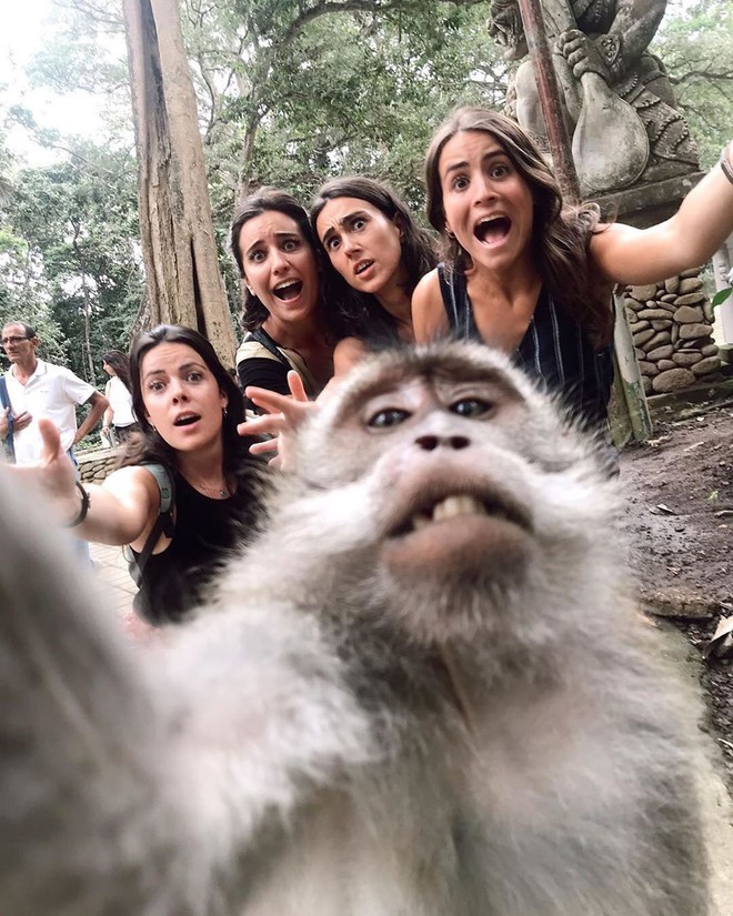 Đi du lịch nhóm mà không đứa nào muốn cầm máy chụp ảnh selfie vì sợ mặt to thì đây chính là cách! - Ảnh 1.