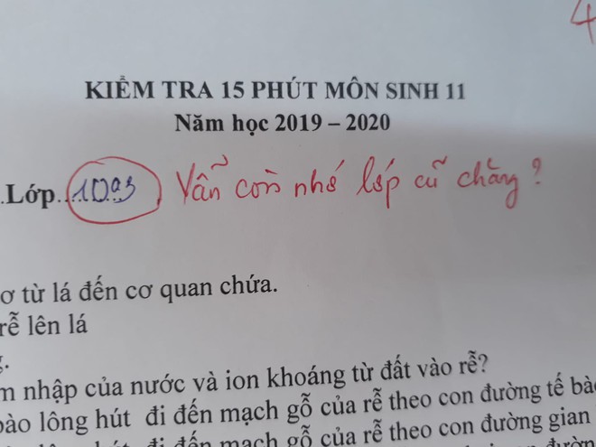 C&ocirc; gi&aacute;o thu về 50 ngh&igrave;n like chỉ nhờ một lời ph&ecirc; v&agrave;i b&agrave;i kiểm tra, đọc v&agrave;o mới biết lỗi n&agrave;y tr&ograve; n&agrave;o cũng mắc phải đ&ocirc;i ba lần - Ảnh 1.