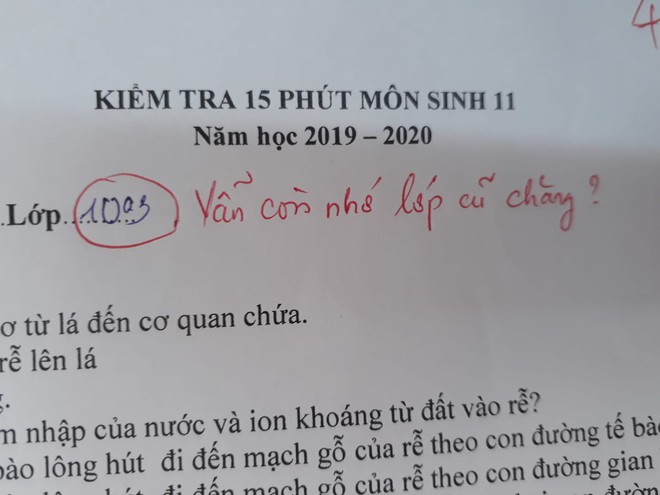 Cô giáo thu về 50 nghìn like chỉ nhờ một lời phê vài bài kiểm tra, đọc vào mới biết lỗi này trò nào cũng mắc phải đôi ba lần - Ảnh 1.