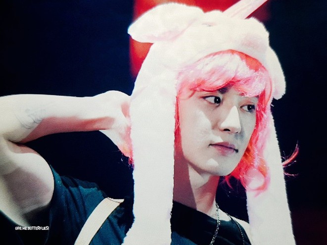 Chanyeol (EXO) tóc hồng môi đỏ chứng tỏ xinh trai làm dân tình khóc thét: Fan Thái Lan đã làm gì oppa của chúng tôi thế này? - Ảnh 1.
