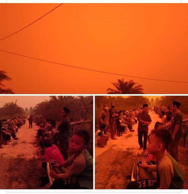 Những đợt cháy rừng tồi tệ khiến bầu trời ở Indonesia chuyển màu đỏ như máu - Ảnh 1.
