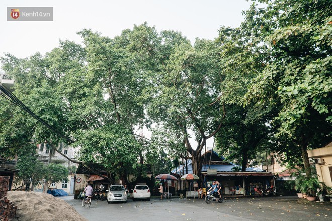 Ngôi làng Hà Nội có những tục lạ: Con gái xinh đẹp, giỏi giang nhưng không ai dám cưới - Ảnh 4.