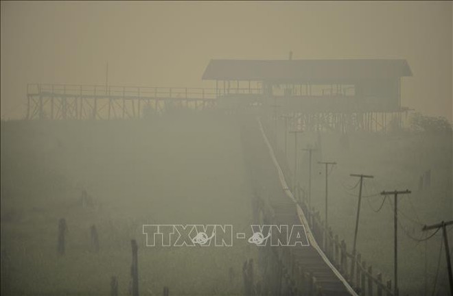 Hơn 900.000 Indonesia người bị bệnh về đường hô hấp do cháy rừng - Ảnh 1.