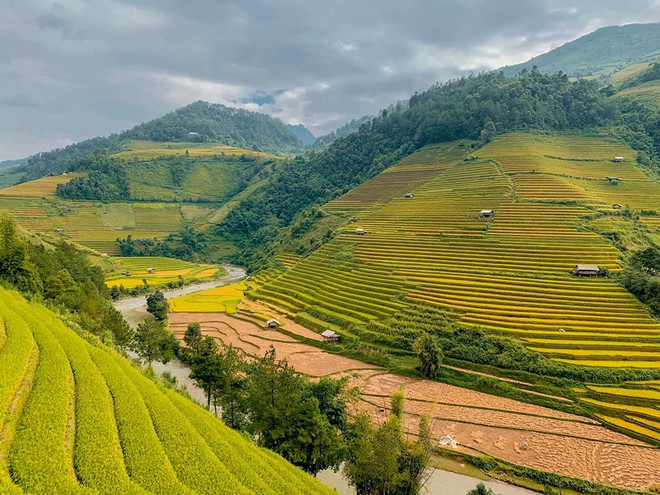 Lên Mù Cang Chải mùa lúa chín chụp bộ hình đẹp như 1 giấc mơ, nhưng nữ chính lại “nổ inbox” vì chị em hỏi... chỗ mua váy - Ảnh 8.