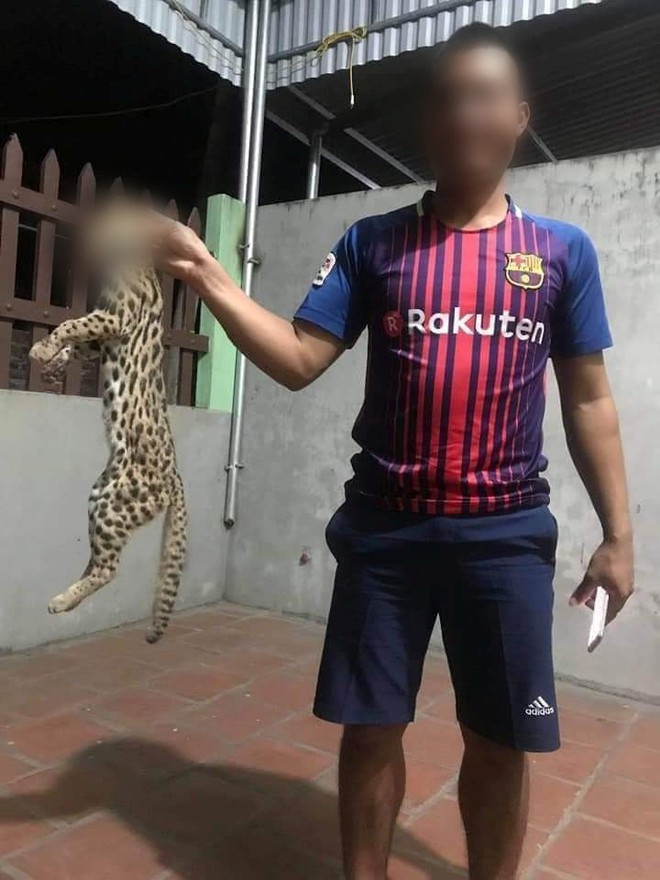 Phẫn nộ hình ảnh thanh niên giết mèo rừng nghi quý hiếm rồi đăng Facebook khoe chiến tích - Ảnh 2.