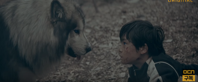 Nam thần nhí Moon Woo Jin: Ngày càng xinh trai quá đáng, góp mặt từ bom tấn nghìn tỉ của Song Joong Ki tới siêu phẩm hành động Vagabond! - Ảnh 13.