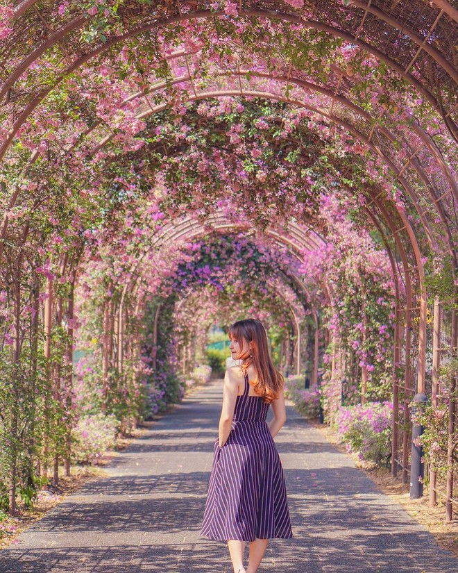 Con đường hoa ảo diệu ở Singapore được các travel blogger lăng xê nhiệt tình thực chất là một cái... nghĩa trang! - Ảnh 23.