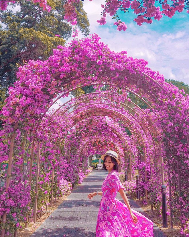 Con đường hoa ảo diệu ở Singapore được các travel blogger lăng xê nhiệt tình thực chất là một cái... nghĩa trang! - Ảnh 9.