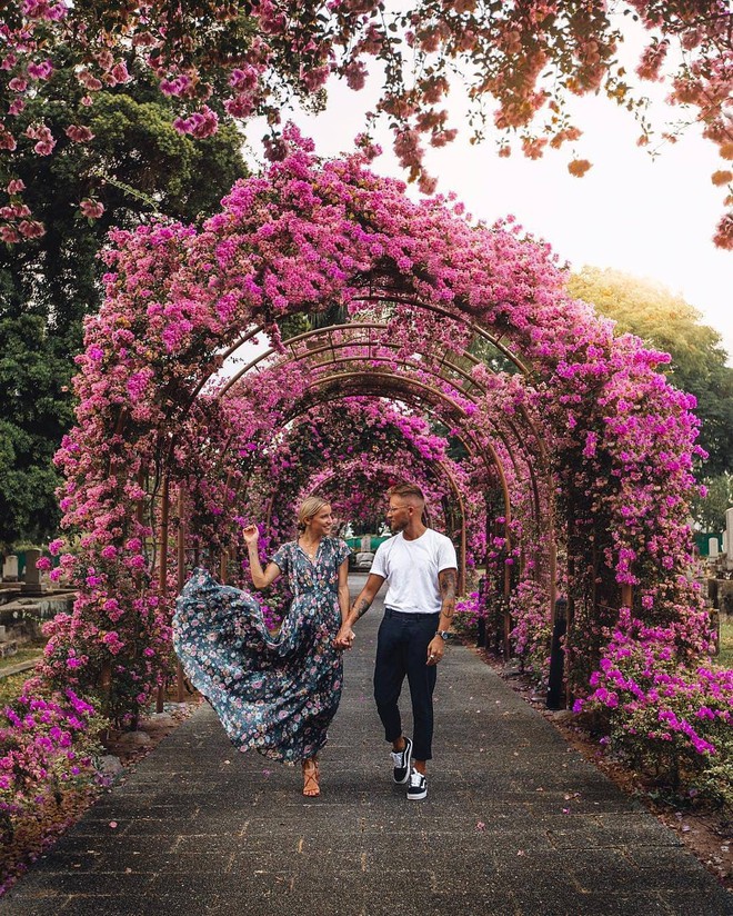 Con đường hoa ảo diệu ở Singapore được các travel blogger lăng xê nhiệt tình thực chất là một cái... nghĩa trang! - Ảnh 11.