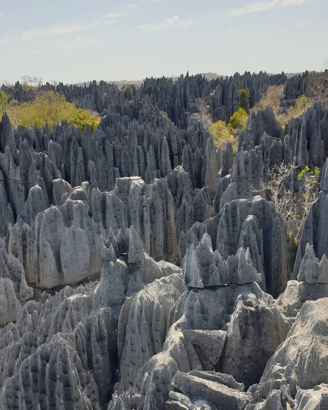 Khu rừng đá sắc nhọn như dao găm ở Madagasca khiến giới phượt thủ cũng phải rợn người vì sợ bị xiên thủng - Ảnh 11.