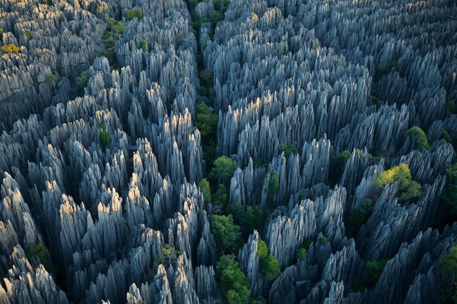 Khu rừng đá sắc nhọn như dao găm ở Madagasca khiến giới phượt thủ cũng phải rợn người vì sợ bị xiên thủng - Ảnh 2.