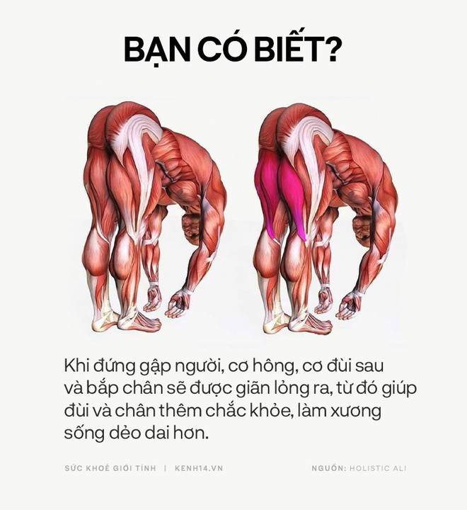 Bạn có biết: 10 tư thế yoga đơn giản sau đây đều có tác dụng rất tốt cho sức khoẻ và tinh thần - Ảnh 19.