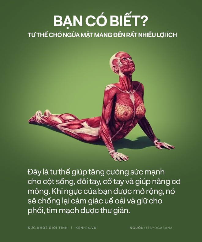 Bạn có biết: 10 tư thế yoga đơn giản sau đây đều có tác dụng rất tốt cho sức khoẻ và tinh thần - Ảnh 5.