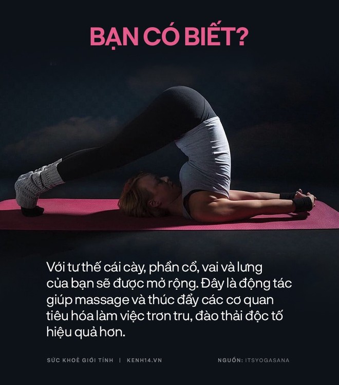 Bạn có biết: 10 tư thế yoga đơn giản sau đây đều có tác dụng rất tốt cho sức khoẻ và tinh thần - Ảnh 7.