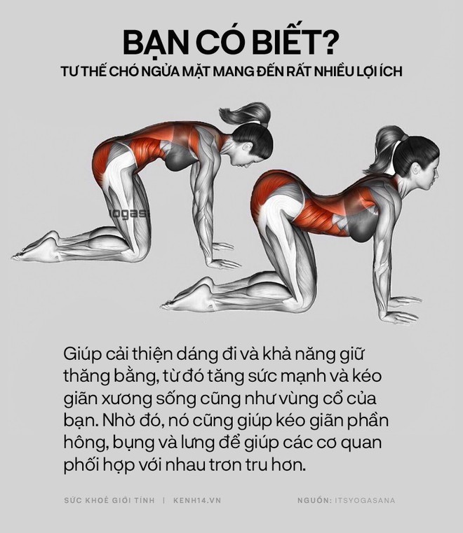 Bạn có biết: 10 tư thế yoga đơn giản sau đây đều có tác dụng rất tốt cho sức khoẻ và tinh thần - Ảnh 11.