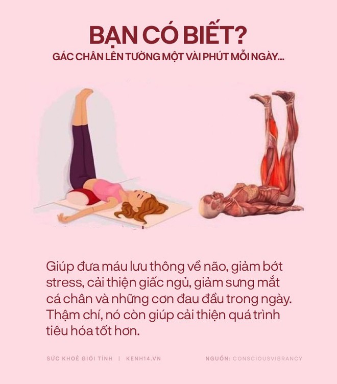 Bạn có biết: 10 tư thế yoga đơn giản sau đây đều có tác dụng rất tốt cho sức khoẻ và tinh thần - Ảnh 15.