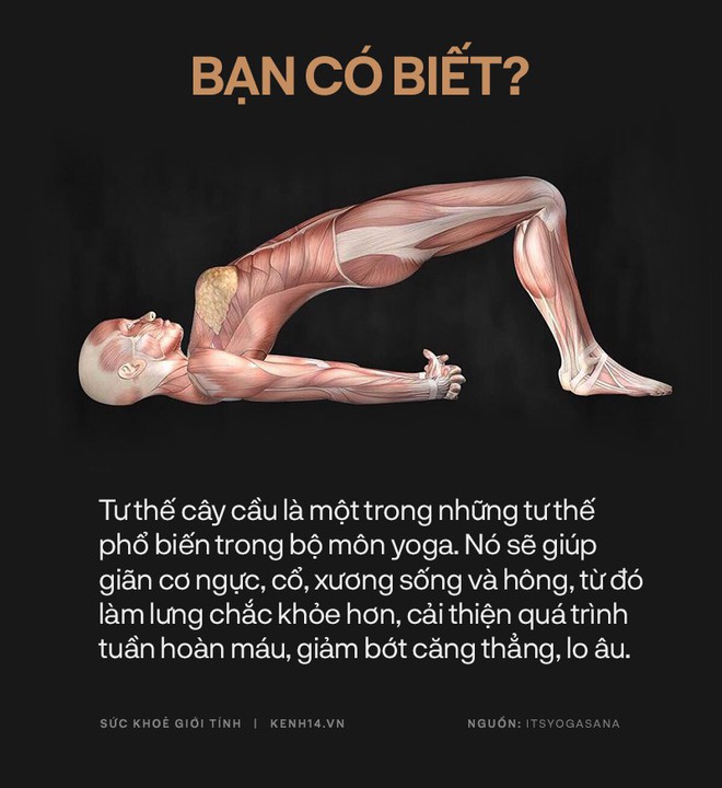 Bạn có biết: 10 tư thế yoga đơn giản sau đây đều có tác dụng rất tốt cho sức khoẻ và tinh thần - Ảnh 17.