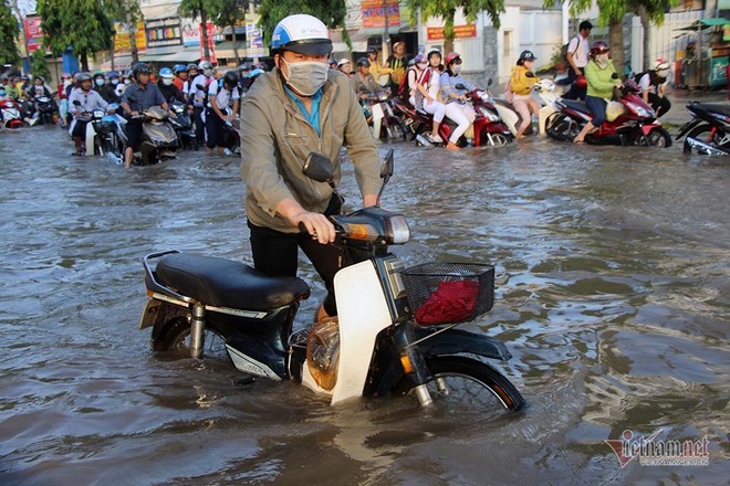 Đưa con đi học từ 5 rưỡi sáng, người Cần Thơ ngao ngán bơi trong biển nước - Ảnh 16.