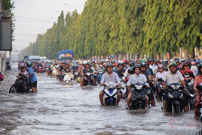 Đưa con đi học từ 5 rưỡi sáng, người Cần Thơ ngao ngán bơi trong biển nước - Ảnh 21.