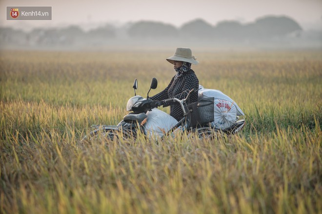 Đi t&igrave;m thủ phạm g&acirc;y &ocirc; nhiễm kh&ocirc;ng kh&iacute; trầm trọng tại H&agrave; Nội nhiều ng&agrave;y qua - Ảnh 9.