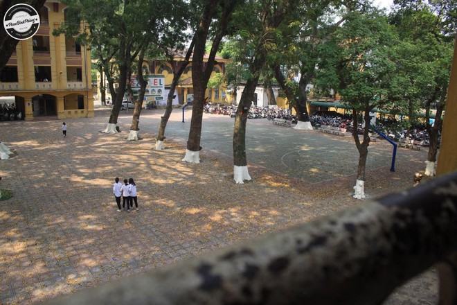 Bật mí bí mật của 3 ngôi trường nổi tiếng ở Hà Nội: Có 1 sở thú ngay trong trường, học hành bị stress quá thì rủ nhau trốn lên cửa trời - Ảnh 2.