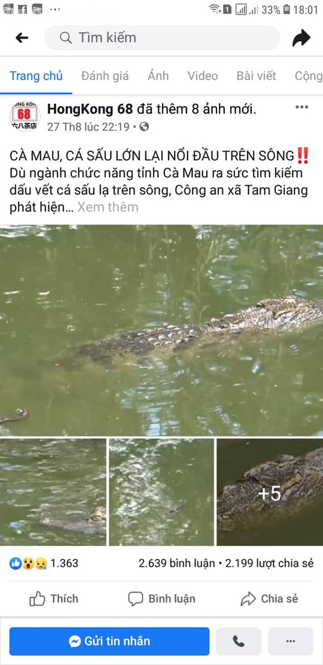 Fanpage qu&aacute;n tr&agrave; sữa ở Cần Thơ đăng th&ocirc;ng tin c&aacute; sấu xuất hiện ở C&agrave; Mau để c&acirc;u like - Ảnh 1.