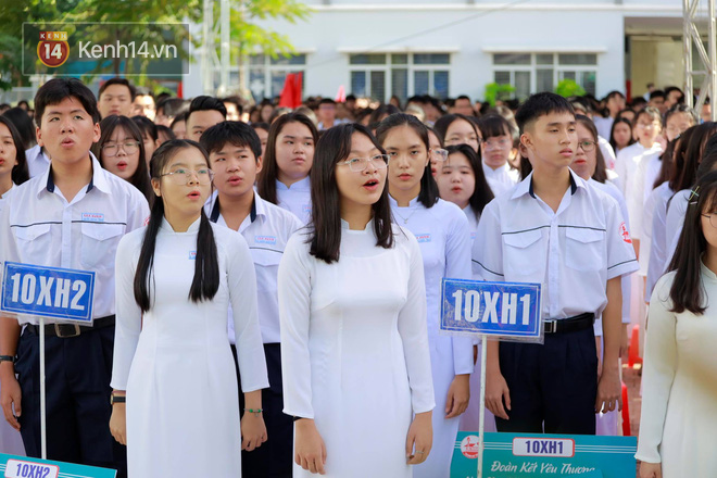 undefined - Ảnh 13.