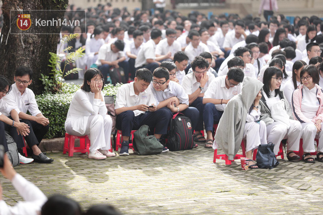 undefined - Ảnh 7.