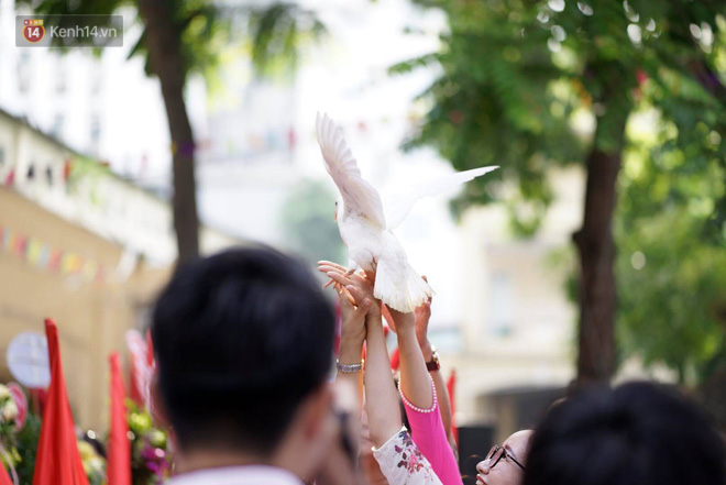 Ngôi trường THPT ở Hà Nội được khen ngợi hết lời vì thả chim bồ câu thay vì thả bóng bay ngày khai giảng - Ảnh 8.