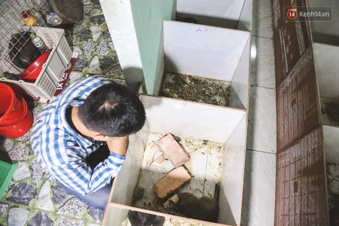 Chàng sinh viên Sài Gòn thu nhập 40 triệu đồng/tháng nhờ nuôi dúi bằng máy lạnh - Ảnh 10.