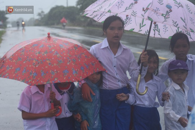 Không biết hoãn khai giảng, nhiều học sinh vùng lũ Quảng Trị đội mưa đi bộ đến trường - Ảnh 7.