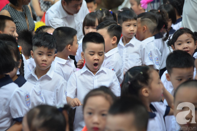 Khoảnh khắc khó quên trong lễ khai giảng sáng nay: Năm học mới bắt đầu nhưng mùa hè ngủ nướng vẫn chưa kết thúc - Ảnh 3.