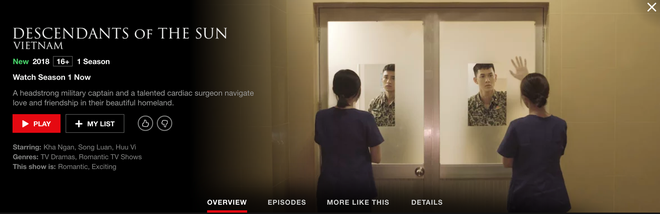 Hậu Duệ Mặt Trời bản Việt trở thành phim truyền hình Việt Nam đầu tiên lên kệ Netflix - Ảnh 4.