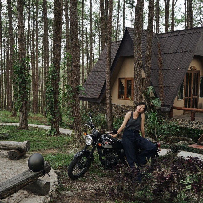 Resort mới toanh nằm giữa rừng thông đang siêu hot ở Chiangmai (Thái), rất hợp cho những ai ôm mộng trốn cả thế giới mùa thu này  - Ảnh 1.