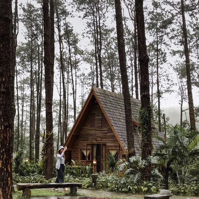 Resort mới toanh nằm giữa rừng thông đang siêu hot ở Chiangmai (Thái), rất hợp cho những ai ôm mộng trốn cả thế giới mùa thu này  - Ảnh 2.
