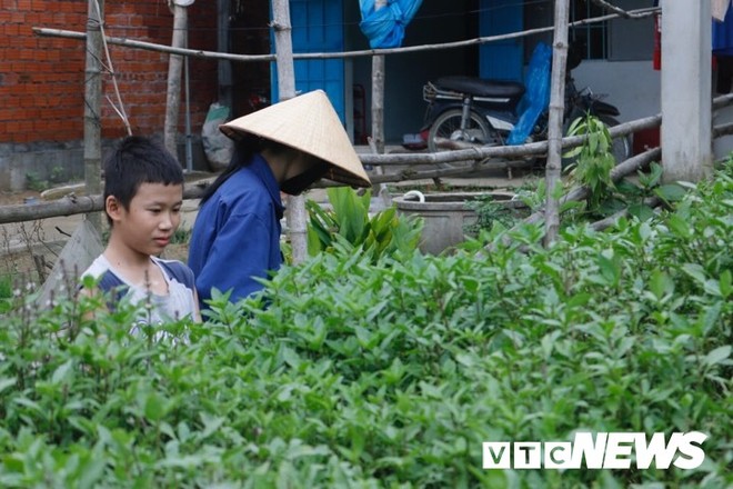 Lo toan nặng trĩu của Linh vé số khi bước vào năm học mới - Ảnh 3.