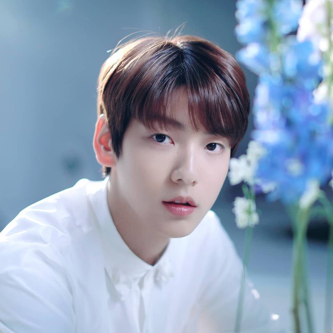 Sau khi 4 th&agrave;nh vi&ecirc;n lần lượt lăn ra ốm, cuối c&ugrave;ng TXT cũng ấn định chắc nịch thời gian trở lại khiến fan thở ph&agrave;o nhẹ nh&otilde;m - Ảnh 2.