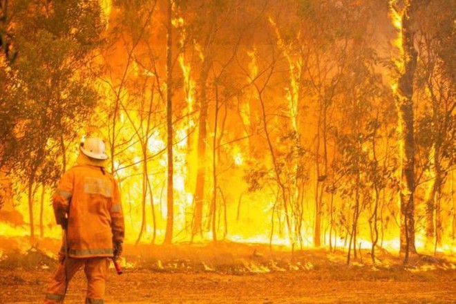 Hơn 100 đám cháy rừng ở Australia, nhiều đám có nguy cơ vượt kiểm soát - Ảnh 1.