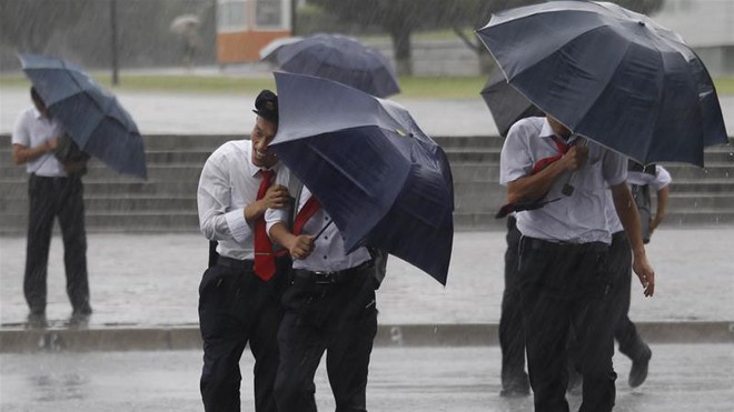 Kh&aacute;n giả H&agrave;n Quốc x&oacute;t xa khi thấy nữ MC lấy th&acirc;n m&igrave;nh thử sức gi&oacute; b&atilde;o Ling Ling, su&yacute;t nữa c&ograve;n bị gi&oacute; cuốn bay - Ảnh 1.