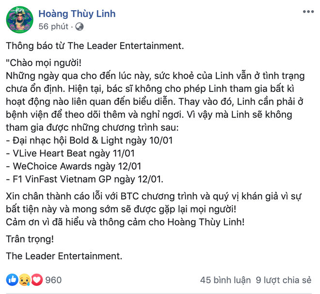 Hoàng Thuỳ Linh phải huỷ loạt show do tình hình sức khoẻ chưa ổn định, trong đó có Gala WeChoice Awards 2019 - Ảnh 1.