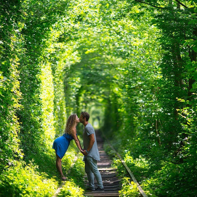 “Đường hầm tình yêu” đẹp như phim điện ảnh có thật 100% trên thế giới, ở Việt Nam cũng có 1 con đường tàu tương tự - Ảnh 21.