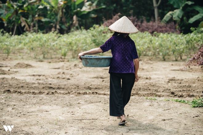 Cụ bà Đỗ Thị Mơ - người nằng nặc xin ra khỏi hộ nghèo lọt Top 10 Nhân vật truyền cảm hứng WeChoice Awards 2019 - Ảnh 5.