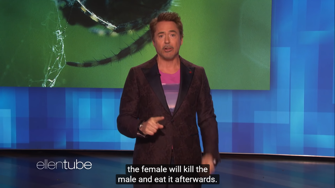 Iron Man Robert Downey Jr. g&acirc;y phẫn nộ khi cạnh kh&oacute;e Taylor Swift như... nhện c&aacute;i tr&ecirc;n talkshow h&agrave;ng đầu nước Mỹ - Ảnh 2.