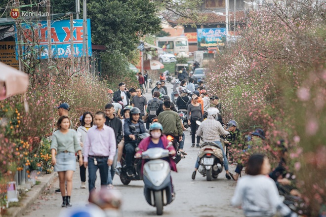 Chợ hoa lớn nhất Hà Nội nhộn nhịp những ngày sát Tết Nguyên Đán - Ảnh 2.