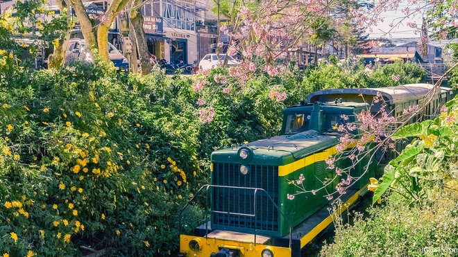 Đà Lạt lại lộ diện con đường tàu tình chẳng khác nào khung trời Nhật Bản, hiểm nguy vẫn rình rập du khách ghé thăm - Ảnh 4.